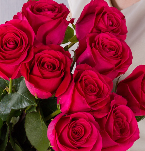 Букет из 9 розовых роз с крупным бутоном 60 см. арт. 36399