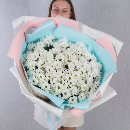 Букет-гигант из 15 хризантем 36151