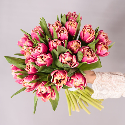 Букет из 25 пионовидных тюльпанов Коламбус под ленту 46176