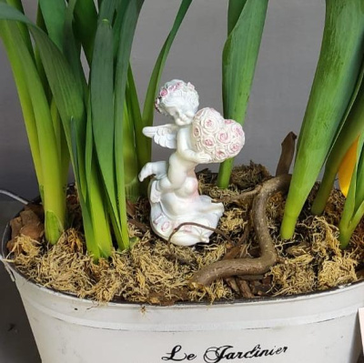 Кашпо с луковичными первоцветами S (тюльпаны, нарциссы) 28845