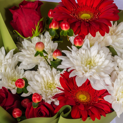 Букет из красных роз и гербер с кустовой хризантемой N 52740