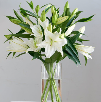 Лилия белая N 842